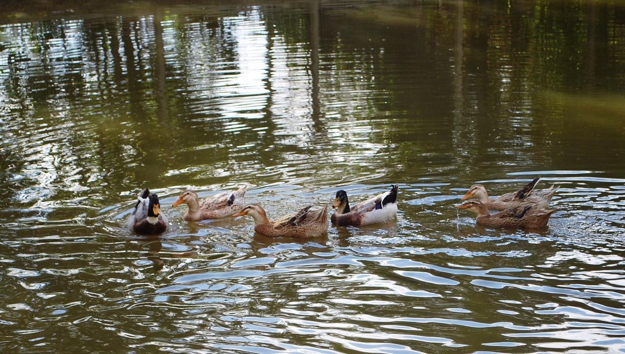 Pousada Quinta Dos Doges Valenca  Bagian luar foto