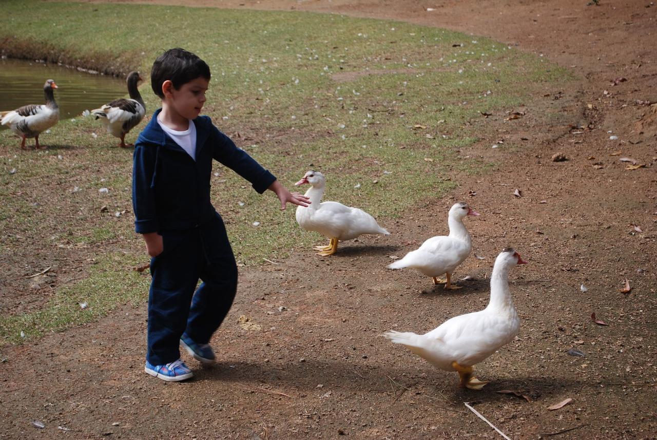 Pousada Quinta Dos Doges Valenca  Bagian luar foto